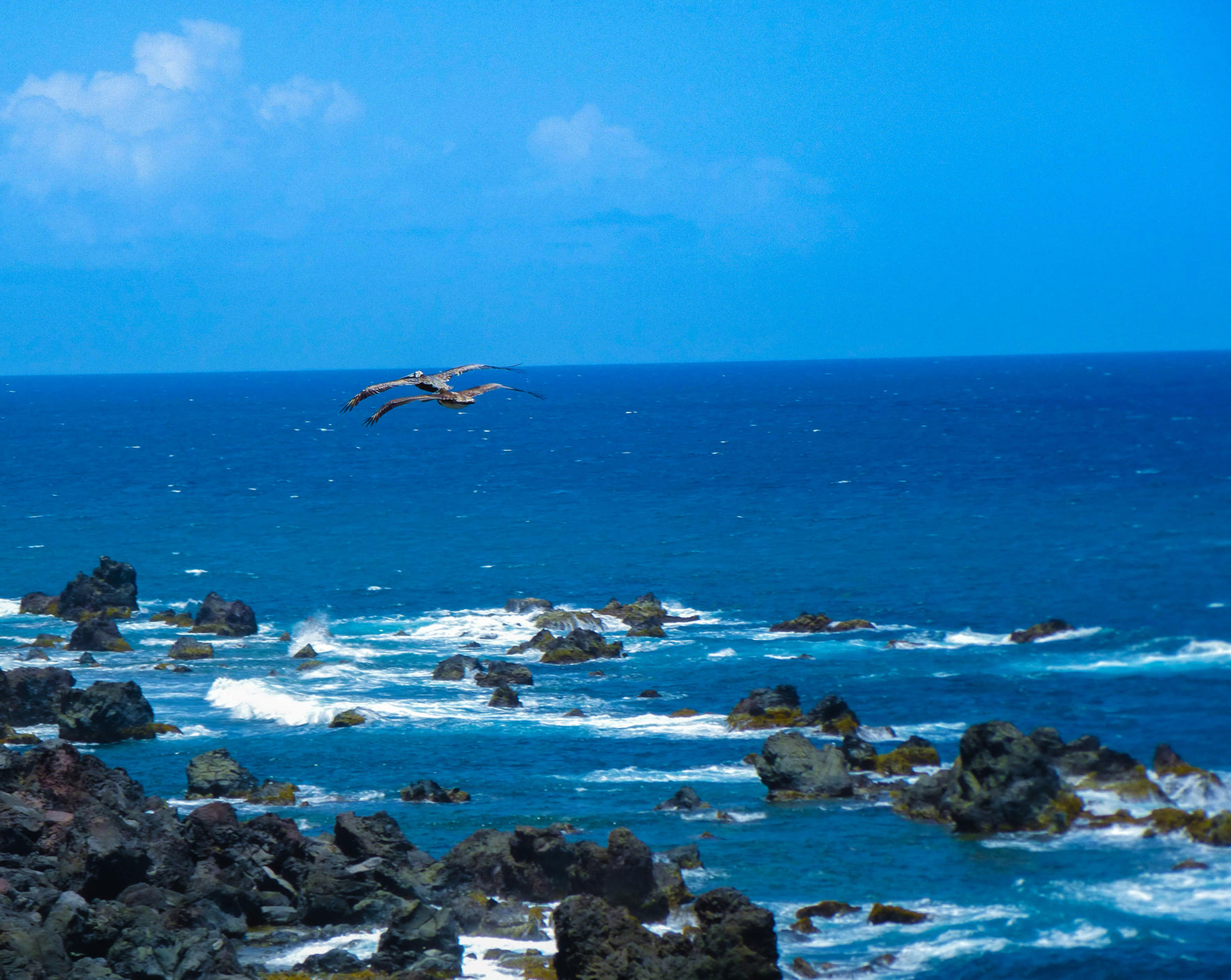 40年零翻车！圣基茨投资入籍：25万美元起，拿“全球通行+税务规划”双重护照