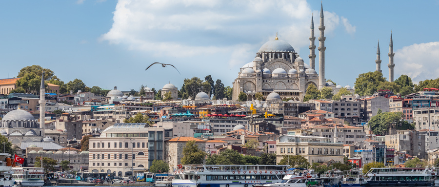 土耳其护照+阿联酋ID=王炸组合！成功案例首发解锁全球通行+0税buff