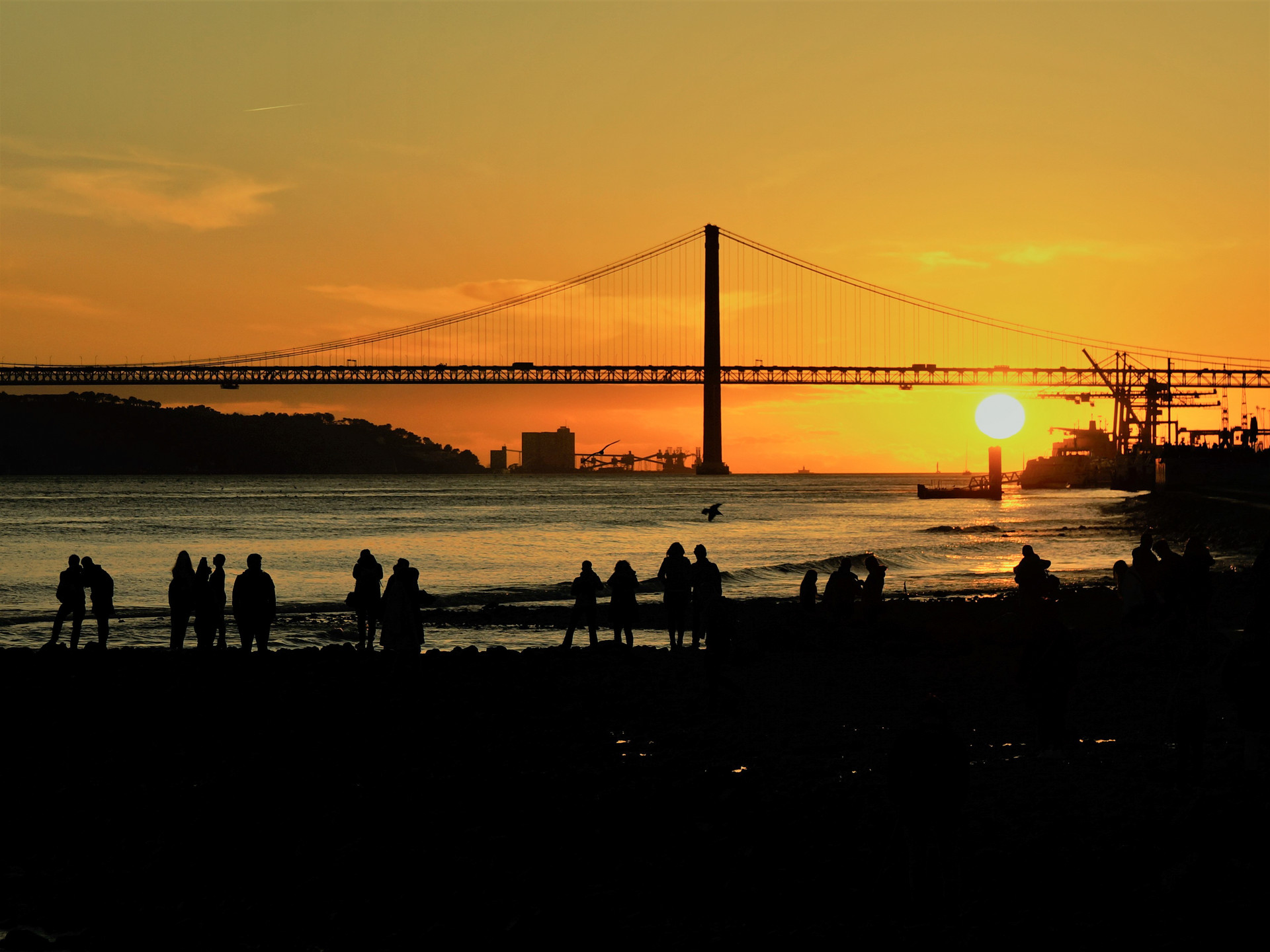 爆火！中美富豪集体“用脚投票”，葡萄牙凭什么稳坐移民顶流？