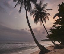 <b>圣多美和普林西比 CBI 护照首批签发</b>