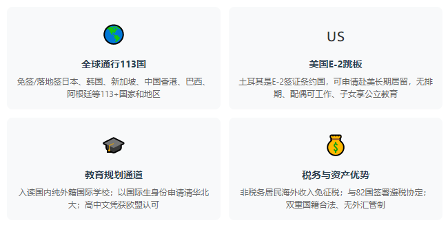 2026土耳其护照深度解析 三条路径怎么选？政策收紧下的合规指南